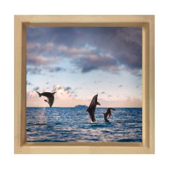 Yunuslar Tablosu Naturel Ahşap Çerçeve - 50x50