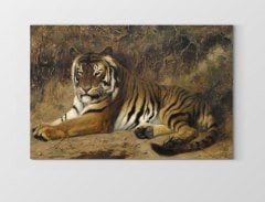 Kaplan Çerçevesiz - 50x70