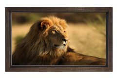 Aslan Tablosu Kahverengi Ahşap - 50x70