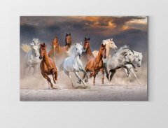 Koşan Atlar Tablosu Çerçevesiz - 45x30