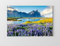 Doğa manzarası Çerçevesiz - 70x100