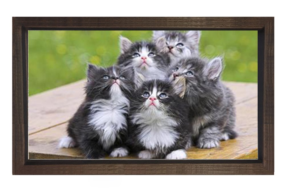 Kedi Ailesi Tablosu Kahverengi Ahşap Çerçeve - 100x200