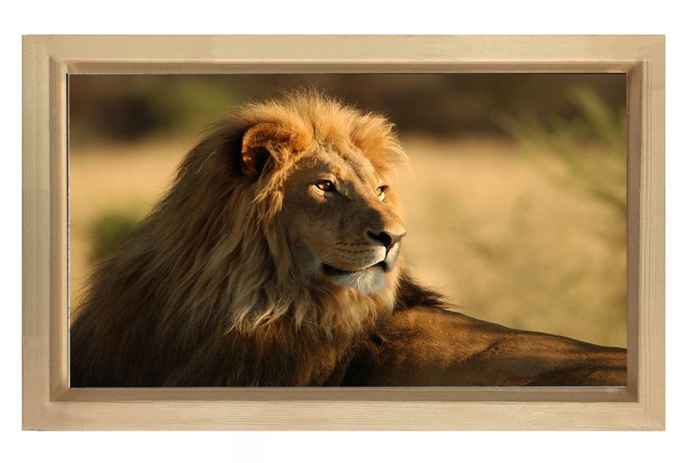Aslan Tablosu Naturel Ahşap - 50x70