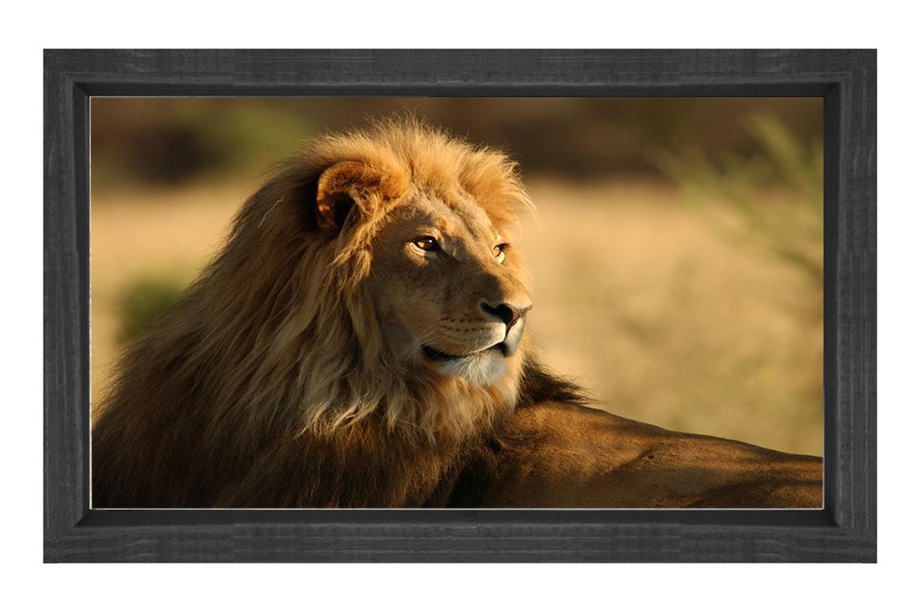 Aslan Tablosu Siyah Ahşap - 100x200