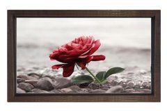 Siyah beyaz Gül Pencere Tablosu Kahverengi Ahşap Çerçeve - 50x70