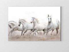 Beyaz Atlar Tablosu Çerçevesiz - 40x60