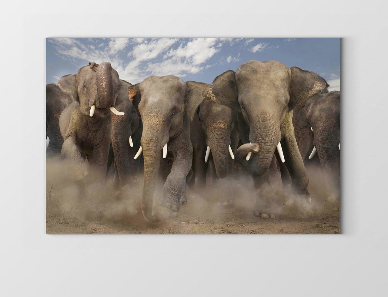 Filler Tablosu Çerçevesiz - 40x60
