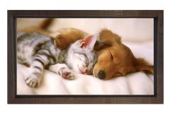 Kedi Ve Köpek Tablosu Kahverengi Ahşap Çerçeve - 50x90