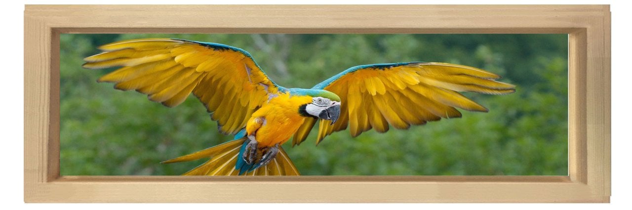 Papağan Tablosu Naturel Ahşap Çerçeve - 150x50