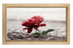 Siyah beyaz Gül Pencere Tablosu Naturel Ahşap Çerçeve - 40x60