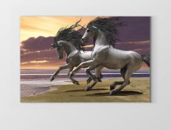 Şaha Kalkan Atlar Tablosu Çerçevesiz - 100x150
