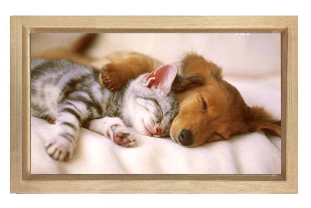Kedi Ve Köpek Tablosu Naturel Ahşap Çerçeve - 45x30