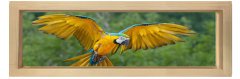 Papağan Tablosu Naturel Ahşap Çerçeve - 90x30