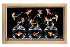Zıplayan Japon Balıkları Tablosu Naturel Ahşap Çerçeve - 40x60