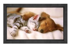 Kedi Ve Köpek Tablosu Siyah Ahşap Çerçeve - 100x200