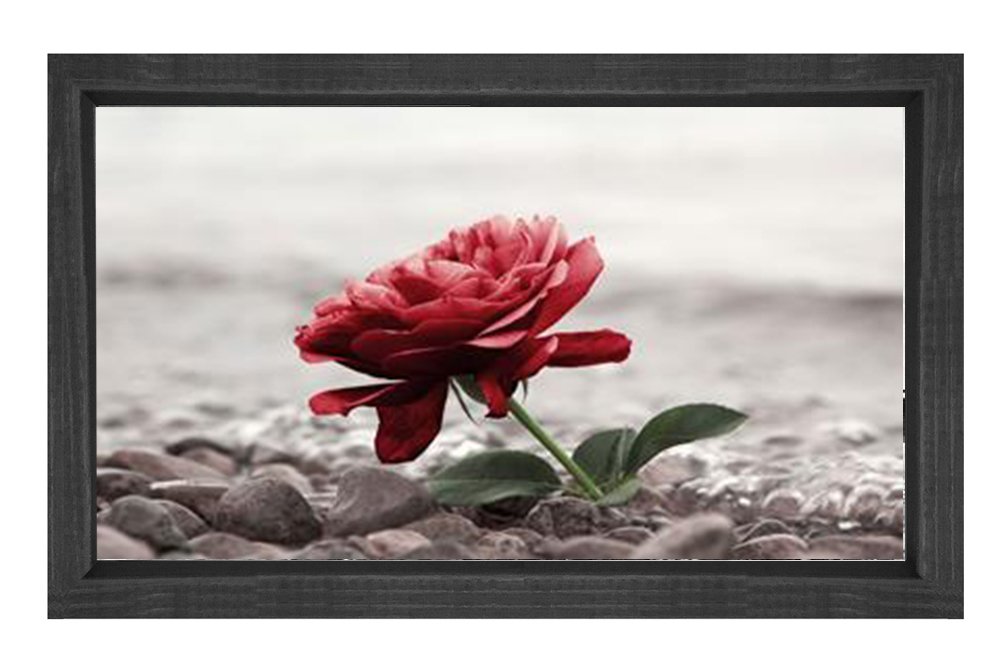 Siyah beyaz Gül Pencere Tablosu Siyah Ahşap Çerçeve - 45x30