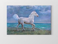Beyaz At Tablosu Tablosu Çerçevesiz - 40x60