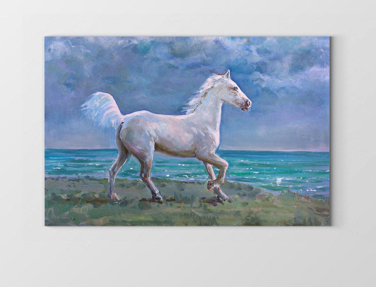 Beyaz At Tablosu Tablosu Çerçevesiz - 70x100