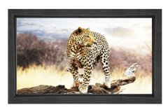 Çita Tablosu Siyah Ahşap Çerçeve - 70x100