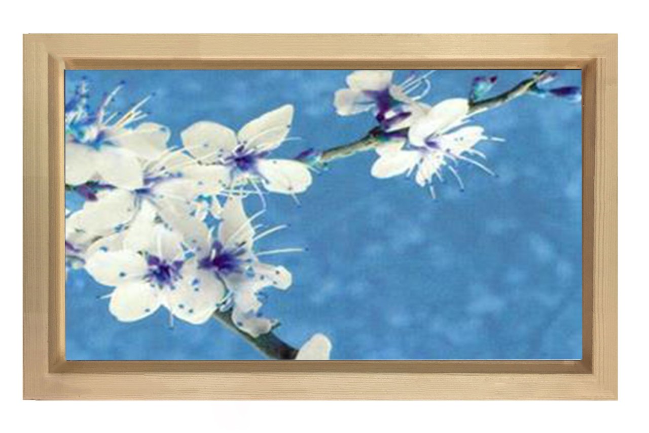 Beyaz Menekşe Reprödiksiyon Tablosu Naturel Ahşap - 50x90