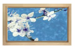 Beyaz Menekşe Reprödiksiyon Tablosu Naturel Ahşap - 50x90