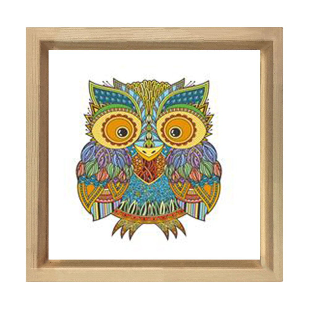 Baykuş Tablosu Naturel Ahşap Çerçeve - 40x40