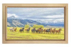 Koşan At Sürüsü Tablosu Naturel Ahşap Çerçeve - 100x150