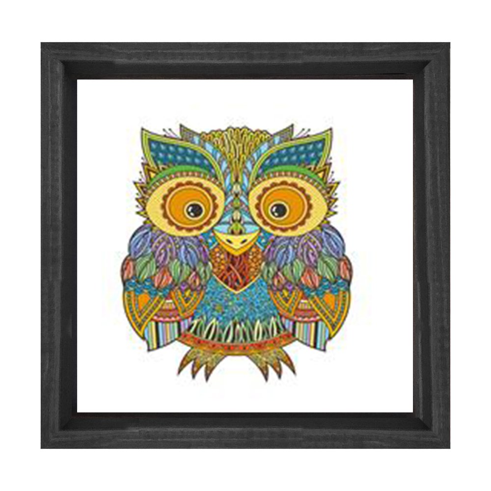 Baykuş Tablosu Siyah Ahşap Çerçeve - 80x80