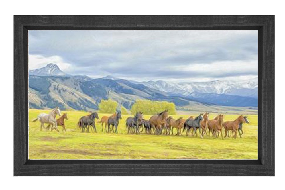 Koşan At Sürüsü Tablosu Siyah Ahşap Çerçeve - 40x60