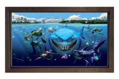 Kayıp Balık Nemo Animasyonu Tablosu Kahverengi Ahşap Çerçeve - 100x150