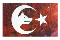 Bozkurt Ve Türk Bayrağı Tablosu Çerçevesiz - 50x90