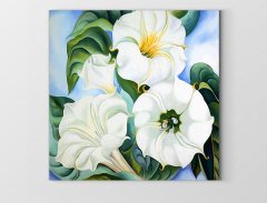 Beyaz Çiçekler Tablosu Çerçevesiz - 40x40