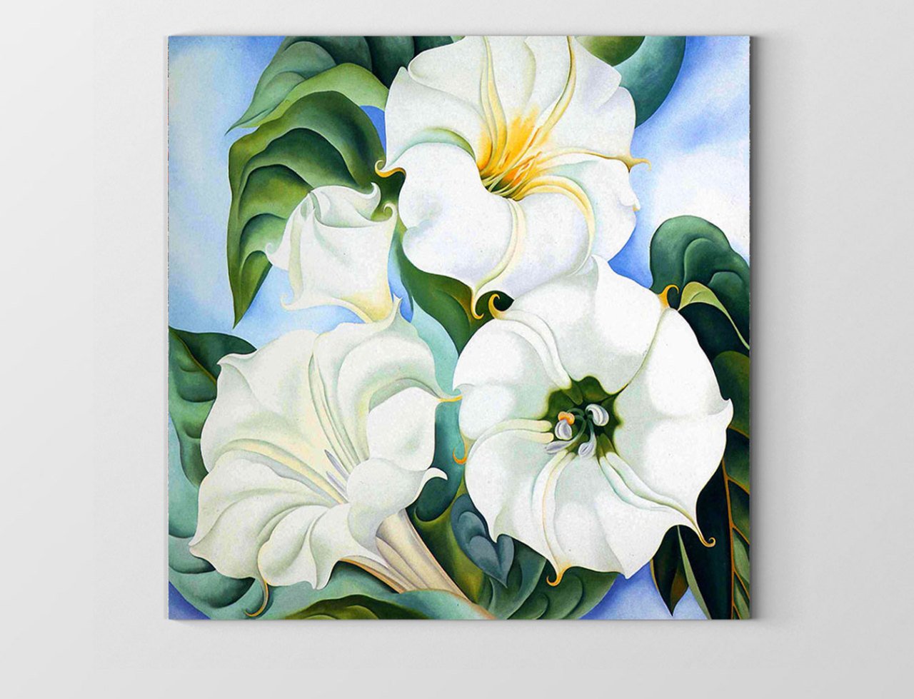 Beyaz Çiçekler Tablosu Çerçevesiz - 70x70