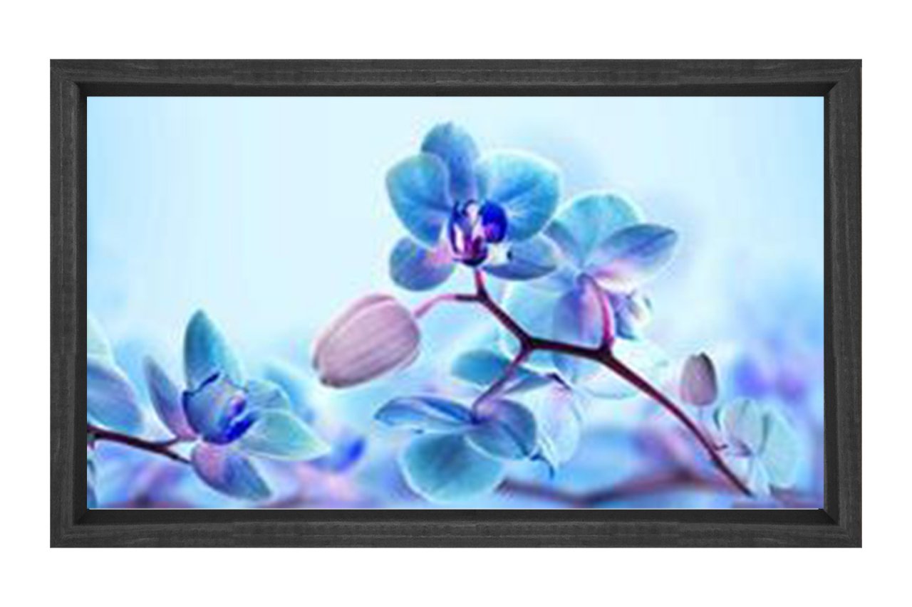 Mavi Menekşe Çiçekler Tablosu Siyah Ahşap - 50x90
