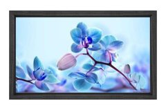 Mavi Menekşe Çiçekler Tablosu Siyah Ahşap - 50x90