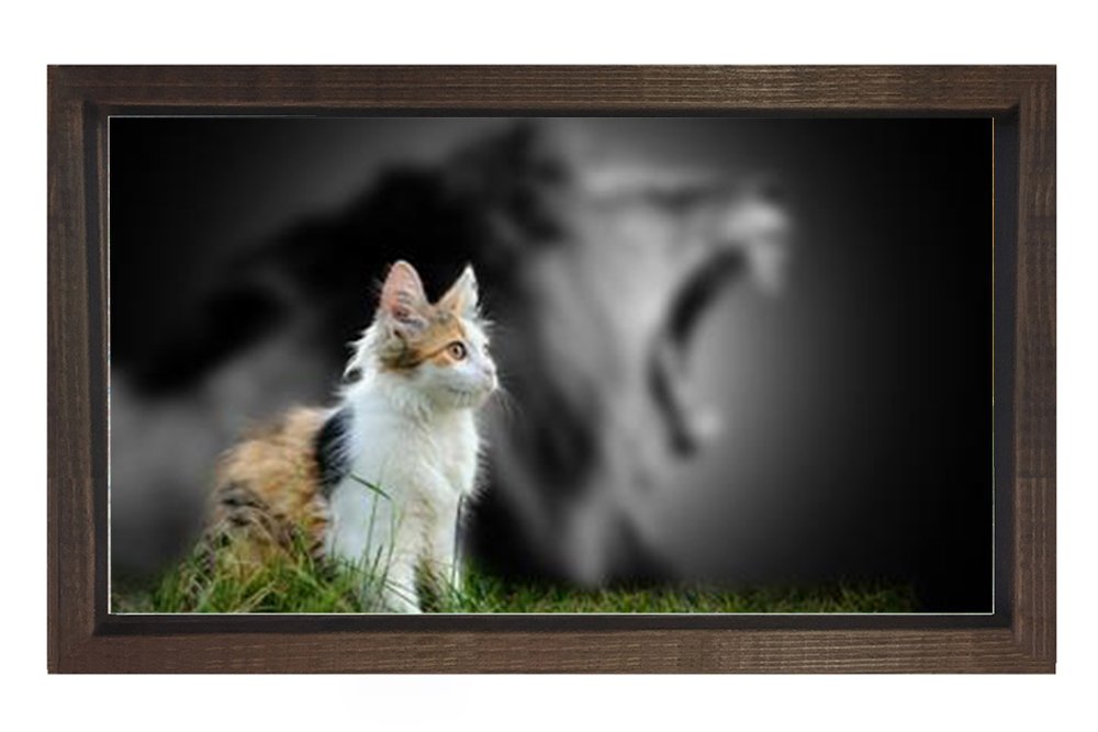 Sevimli Kedi Tablosu Kahverengi Ahşap Çerçeve - 70x100