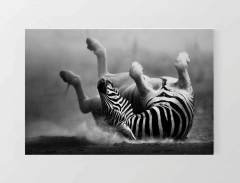 Zebra Tablosu Çerçevesiz - 100x200