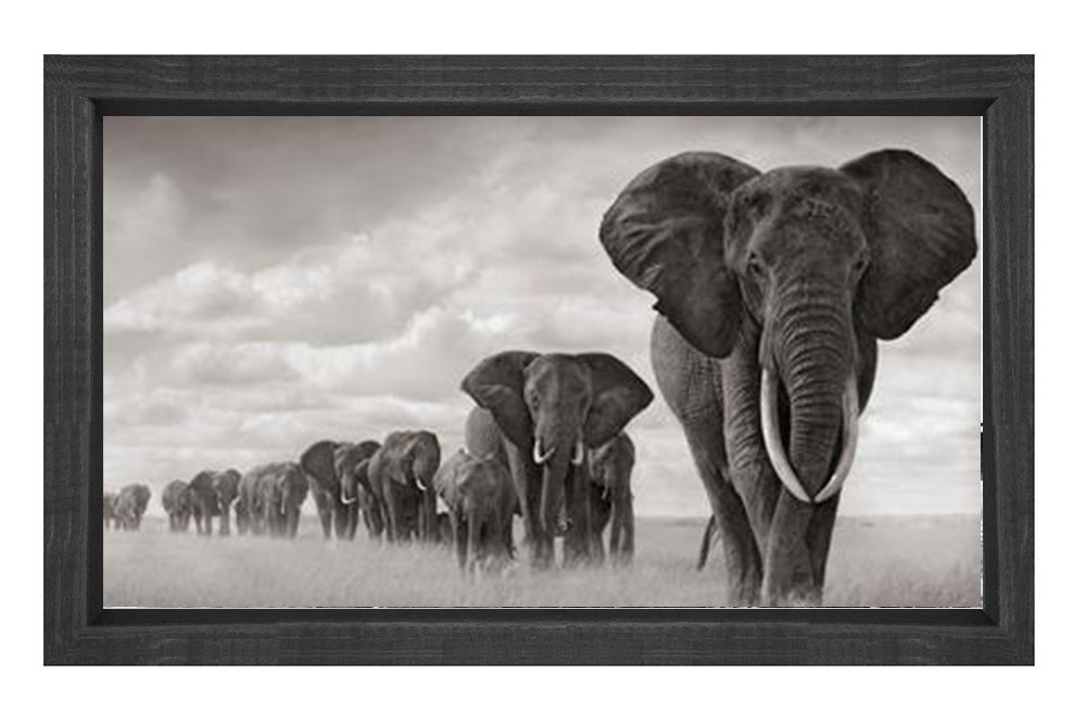 Filler Tablosu