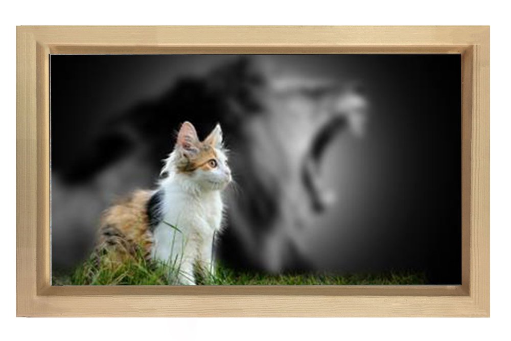 Sevimli Kedi Tablosu Naturel Ahşap Çerçeve - 100x200