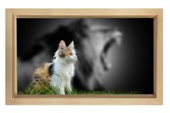 Sevimli Kedi Tablosu Naturel Ahşap Çerçeve - 100x200