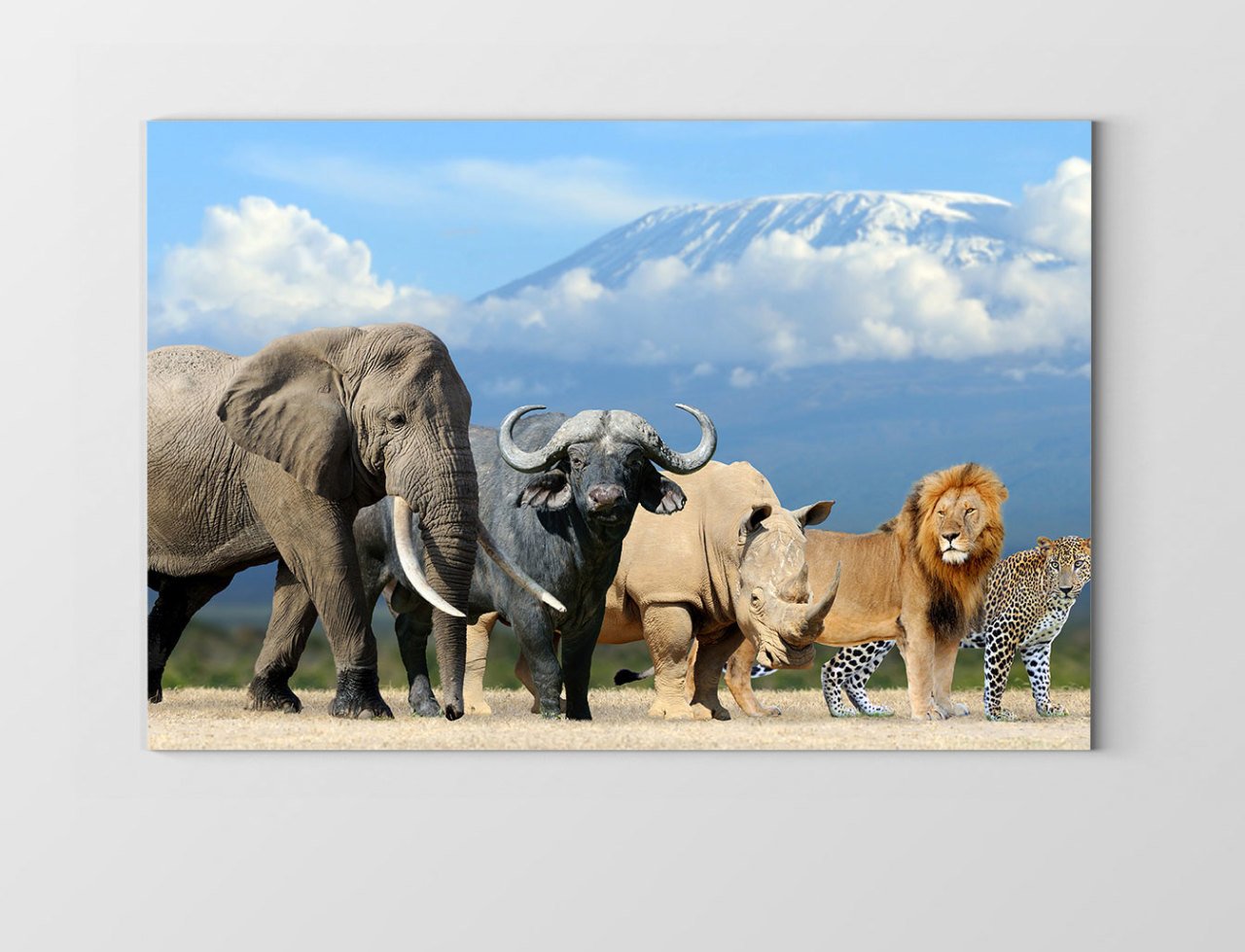 Hayvanlar Tablosu Çerçevesiz - 40x60