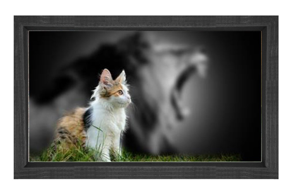 Sevimli Kedi Tablosu Siyah Ahşap Çerçeve - 100x150