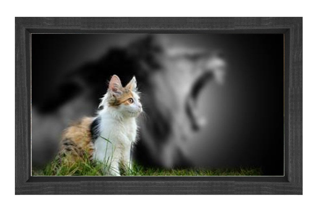 Sevimli Kedi Tablosu Siyah Ahşap Çerçeve - 100x200