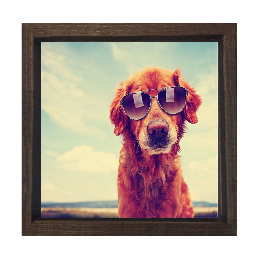 Köpek Tablosu Kahverengi Ahşap Çerçeve - 80x80