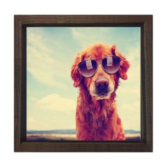 Köpek Tablosu Kahverengi Ahşap Çerçeve - 80x80