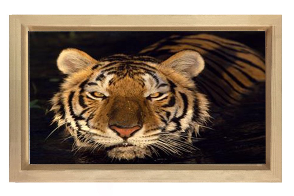 Kaplan Tablosu Naturel Ahşap Çerçeve - 100x200