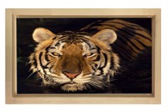 Kaplan Tablosu Naturel Ahşap Çerçeve - 100x200