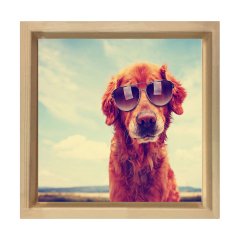 Köpek Tablosu Naturel Ahşap Çerçeve - 60x60