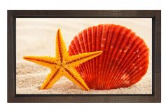 Deniz Yıldızı Kahverengi Ahşap Çerçeve - 70x100