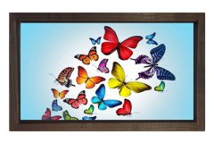 Renkli Kelebekler Tablosu Kahverengi Ahşap - 40x60